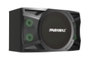 P-1000  Loa Karaoke 10-inch