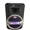 Loa Kéo RONAMAX T15