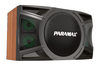 LX-1200 Loa Karaoke 10-inch
