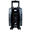 Loa trợ giảng dạng kéo Temeisheng DP-131L
