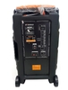 Loa kéo di động Sansui SS2-12