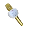 MICRO KÈM LOA ZBX-66