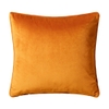 Ochre