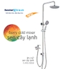 Sen cây lạnh Inox 304 Berry BY-167