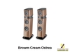 Cream Ostrea
