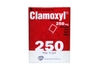 Clamoxyl 250mg