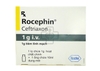 Rocephin I.V. 1g