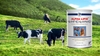 sua-non-alpha-lipid-lifeline-nhap-khau-chinh-hang-new-zaeland-3