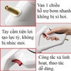 sung-thong-tac-bon-cau-6