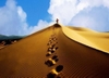du-lich-ha-noi-mui-ne-tour-tot-gia-re-2025