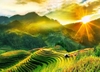 du-lich-tp-hcm-sapa-tour-tot-gia-re-2025