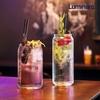 Bộ cốc (ly) cao Luminarc Can 6 chiếc V3331- 475ml