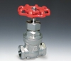 Stainless Steel Gate Valve Threaded End