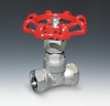 Stainless Steel Globe Valve Threaded End