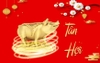 Phong thủy xây nhà cho tuổi 1971 Tân Hợi