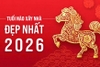 Tuổi làm nhà 2026 nào đẹp nhất, hợp phong thủy, hút tài lộc?