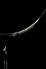 Vợt Mizuno Fortius 10 ( BDSS )