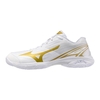 Giày Mizuno Wave Claw 4 - 71GA264318