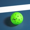 Bóng Pickleball LT Pro 48