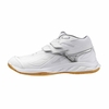 Giày MIZUNO Wave Fang ST - 71GA256301