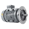 ĐỘNG CƠ ĐIỆN SK SERIES - SK SERIES TYPE MOPTOR