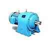 MÔ TƠ GIẢM TỐC KIỂU ĐỨNG - VERTICAL GEARED MOTOR