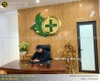 Mẫu Logo Công Ty Ligi Doctor Clinic Rộng 1m47