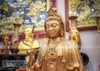 Tượng Phật Bà Quan Âm Ngồi Đồng Đỏ Cao 81cm Cực Đẹp