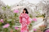 CHỤP ẢNH KIMONO YUKATA GIÁ RẺ Ở ĐÂU HÀ NỘI