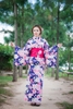 Kimono – Yukata nữ hoa cúc– vẻ đẹp nữ hoàng