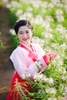 Trang phục truyền thống Hàn Quốc Hanbok