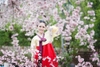 Studio chụp ảnh hanbok chuyên nghiệp tại Hà Nội