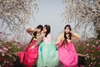 Chụp ảnh hanbok 03.01.2015