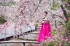 Chụp ảnh hanbok đẹp giá rẻ nhất tại Hà Nội