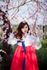 Trang phục truyền thống Hàn Quốc Hanbok