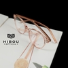 Gọng Kính H0079