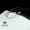 Gọng Kính H80546