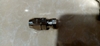 Đầu nối Prona 1/4 inch dùng cho dây dẫn sơn 8*12 Model 1/4 8x12mm