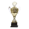 Cúp vàng VS-8V0131