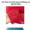 Cho thuê áo lưới Teambuilding, áo tập bóng đá nhiều màu tại Hà Nội, Hải Phòng, Đà Nẵng, TP Hồ Chí Minh