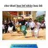 Cho thuê bao bố giá rẻ tại Hà Nội, Hải Phòng, Đà Nẵng, TP Hồ Chí Minh