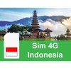 Sim du lịch Indonesia 10 ngày 5GB