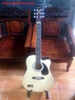 dan-guitar-acoustic-andrew-aw-70