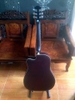 dan-guitar-acoustic-andrew-aw-70