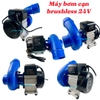 Máy Bơm Cạn Brushless 24V