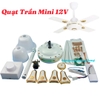Quạt Trần Brushless  Mini 12V 30W 24in Cánh Sắt