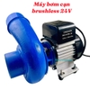 Máy Bơm Cạn Brushless 24V