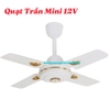 Quạt Trần Brushless  Mini 12V 30W 24in Cánh Sắt