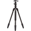 Benro A1681TB0
