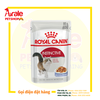 PATE ROYAL CANIN INSTINCTIVE – MÈO TRƯỞNG THÀNH